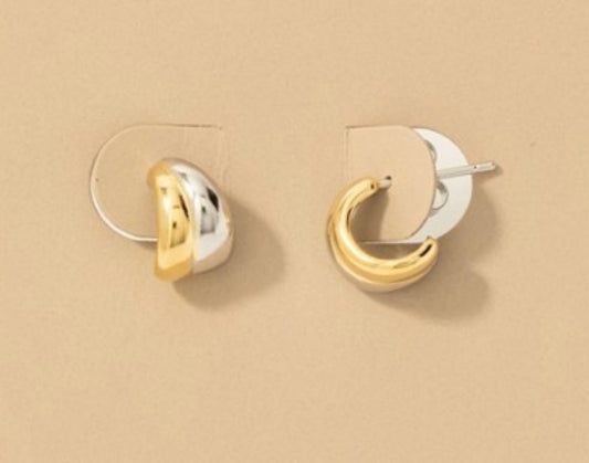 Two Tone Hoops